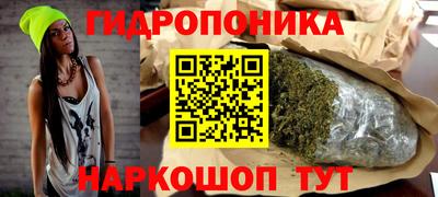 индика Будённовск